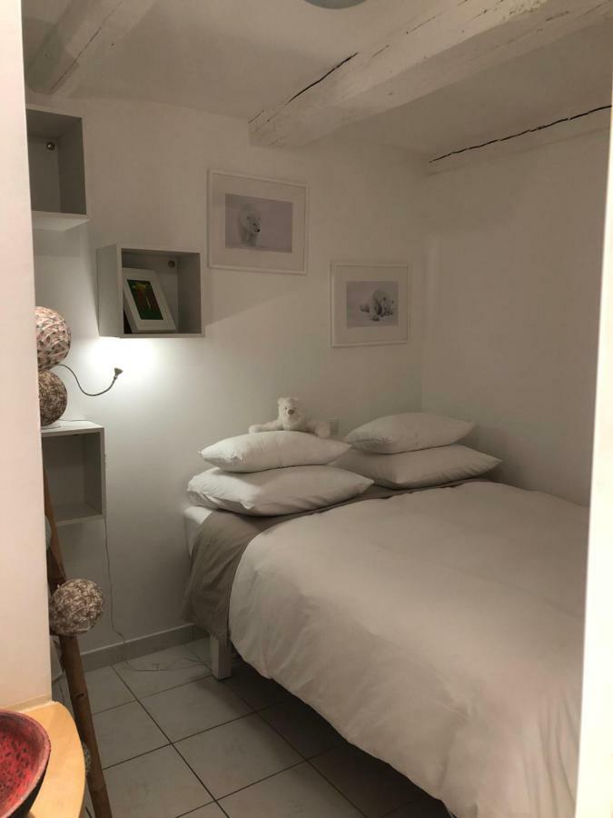 Appartement La Tanière de l'Ours Blanc Aubagne-Cassis-Aix en Provence Extérieur photo